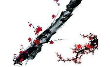 寻找名字带有雨字的女孩,姓丁的人的故事