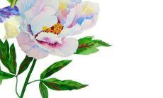 建议:免费服务:根据生辰八字五行进行取名,来获取最佳的名字!