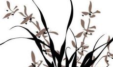 2022年十二年属龙男性的职场、财运、感情、健康等运势预测