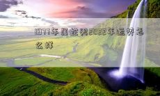 属蛇男的1977年出生人2022年的综合运势如何?