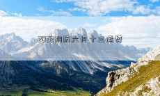 2022年阴历六月十三日的全面运势分析与预测