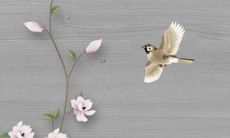 在2022这个属狗年如何促进桃花运,这几种方式被证明最为有效