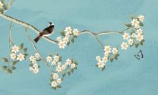 2021牛年犯太岁,哪些生肖会受到影响?