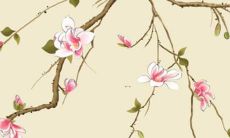 鼠年男性的2022年命运展望及运势预测