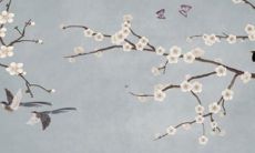 2022年运势大揭秘:独具魅力的六五年出生蛇女将迎来哪些机遇和挑战?