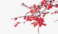 2022年白羊女运势之展望及预测:幸运与挑战同在,看天象如何搭配星象,指引人生路程!