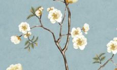 摩羯座80年生人的2022年全面运势展望