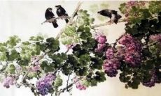 详细解析生肖鼠人的五行属性与性格特质