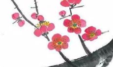 2022年属兔人的月度运势和运程预测