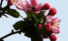 2022年生肖马的六十六周岁运势分析:展望未来充满兴旺与亮点