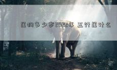 2022年,按照属狗的岁数来算,您将会是几岁?另外,您所属的五行属性会是什么呢?