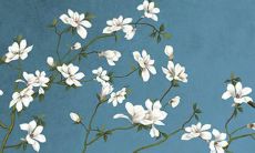 从兔年1976至2022年属兔人的运势和未来运程之探析