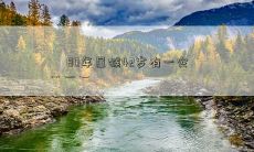 属猴的人在80年出生,现年42岁,曾经遭遇过一次重大灾难