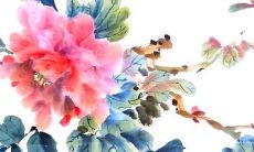 2022神秘数字编码解密:探讨生命密码对流年运势的影响