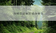 为什么属虎的人不会害怕自己的本命年,而其他人都会感到忧心忡忡?