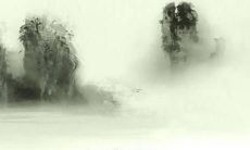 在中国生肖属虎人群体中出生于1965年的个体在2022年的运势走势如何?