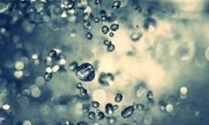 这12个生肖一定要小心,它们有着凌厉的性格特质,千万不能惹恼!