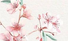 这款金吊坠是专门为1974年出生的属虎人设计,非常适合他们佩戴!