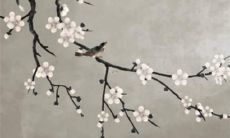 2022年属牛女性运势预测:未来一年你将会经历哪些重要的转折和发展?