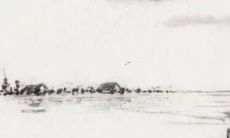 2022年猪年生肖婚姻运势:从婚姻状况到感情发展 - 一整年的详细预测!