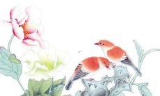 预测:16年生肖属猴的女性在2022年的运势如何?