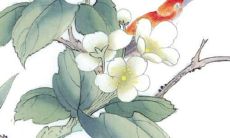 2022年6月属牛人全面解析:幸运星座指引、事业、爱情与健康运程!