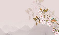 获取:详解2022年生肖运程,揭秘12生肖在2022年的好和不好!