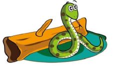 2021年牛年,属蛇人的1965年出生者的运势如何?