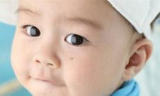 什么样的汉字可以作为属虎人开公司的公司名称呢?