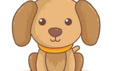 如何摆脱2021年刑太岁影响:探讨属狗人如何化解58年生肖狗犯太岁的方法和所需佩戴物品?