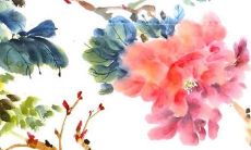 2022年虎年,从事兔属男性的完整全年运势分析