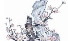 使用周易生辰八字算法预测2022年运势