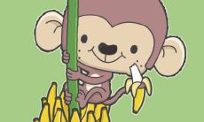 一位1956年出生、现年66岁、属猴男子的2021年运势展望:未来56年如何?