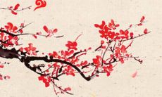 探究剑三中最为优美响亮的技能名称