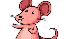 2022年年份生肖属蛇的人,与其他年份生肖属蛇的人相比,年龄有何不同之处?