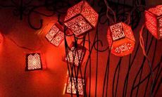 免费上门服务的女性星座分析系列!