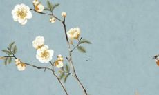 2022年虎年共有哪些属相会遭遇犯太岁的影响?