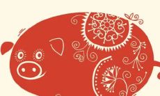 如何在2022年的虎年生肖猪成功驱逐邪气并获得好运势,需要佩戴什么黄金饰品?