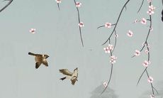 破除太岁的方法及注意事项,让一年顺利过去