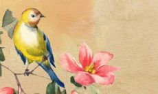 2022年对于属猴的人来说,是否会遭遇犯太岁的影响?