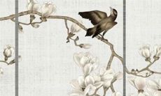 2022年生肖女蛇的综合运势分析及未来发展趋势预测