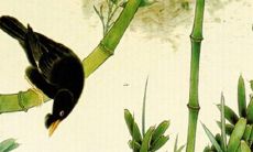 2022年本命年属虎女性的运程预测:财运如何,事业何去何从?