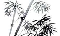 探讨化解太岁的方法:究竟有多少种可供选择?