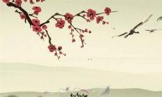 详解白敬亭在2022年的吉凶祸福及运势趋势分析