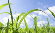 男兔女龙之间的婚姻:探究他们的相容性及其涉及的时间因素,哪些月份的兔和龙更加和谐共处?