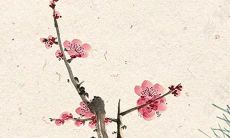 2022年摩羯座塔罗牌:解读感情运势及未来发展趋势