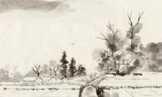 2022年十二生肖之鸡的运势与1945年历史背景的关联探析