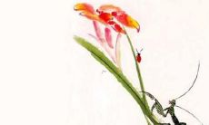 本命年犯太岁的含义及解释:为什么会产生这种现象,应对方式是什么?