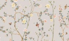 预测:在2022年,84年出生的女性在整体运势方面将会经历怎样的变化?