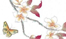 男性1994年出生的人在2022年的感情生活将会有哪些变化与发展?